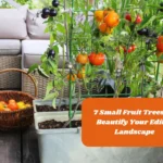 7 Small Fruit Trees To Beautify Your Edible Landscape