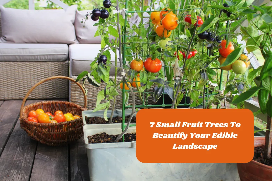 7 Small Fruit Trees To Beautify Your Edible Landscape